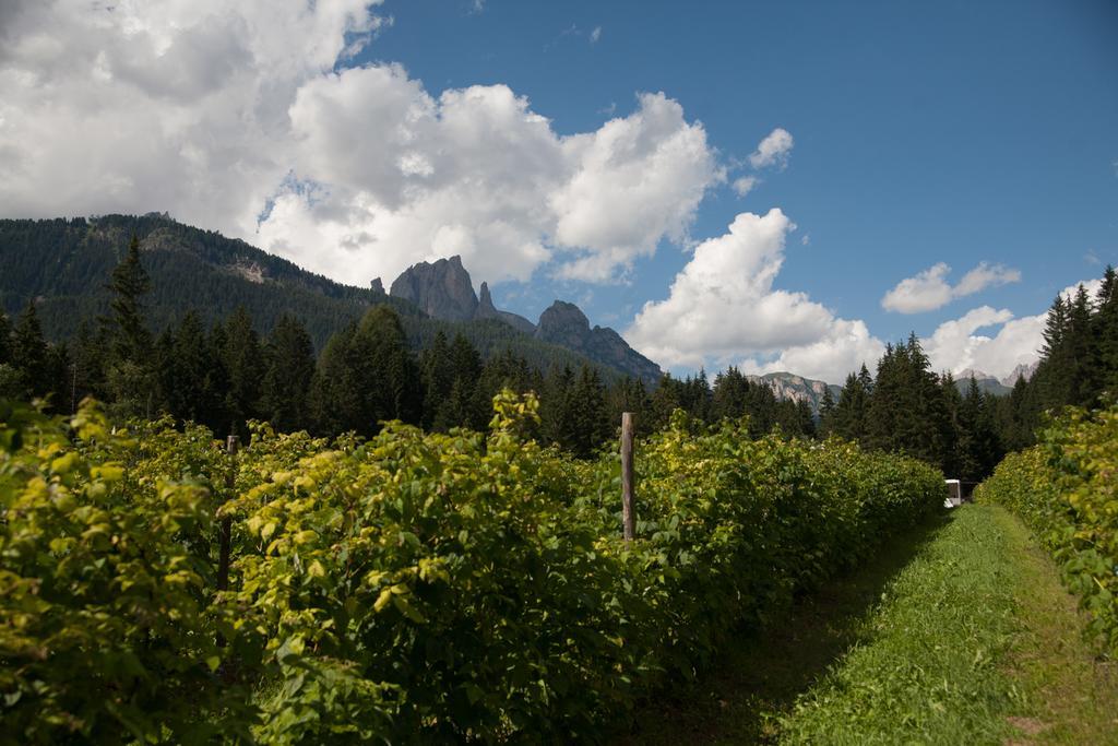 Agriturismo Soreie - Farmstay Vigo di Fassa Kültér fotó