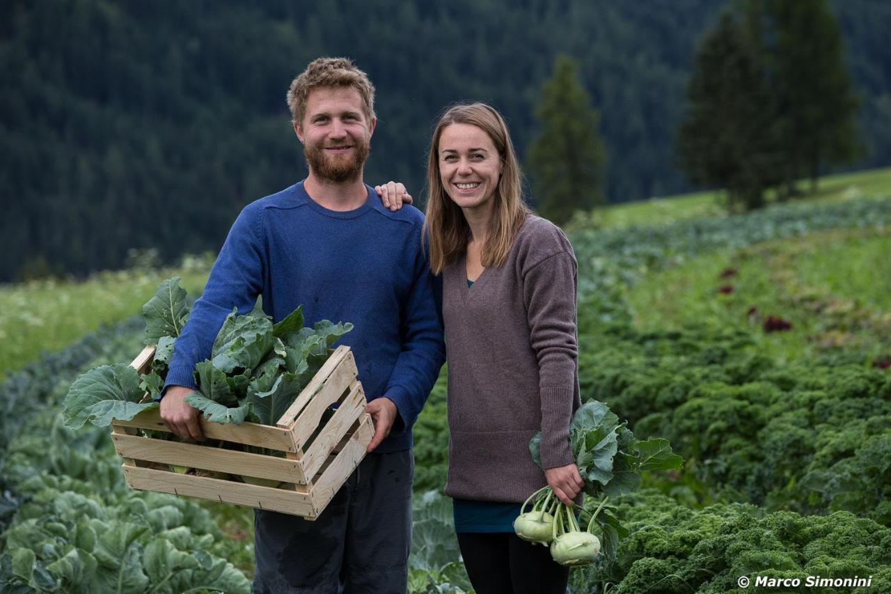 Agriturismo Soreie - Farmstay Vigo di Fassa Kültér fotó